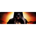 06-09-2016 - MCS Marketing  - The Dark Tenor - banner.jpg